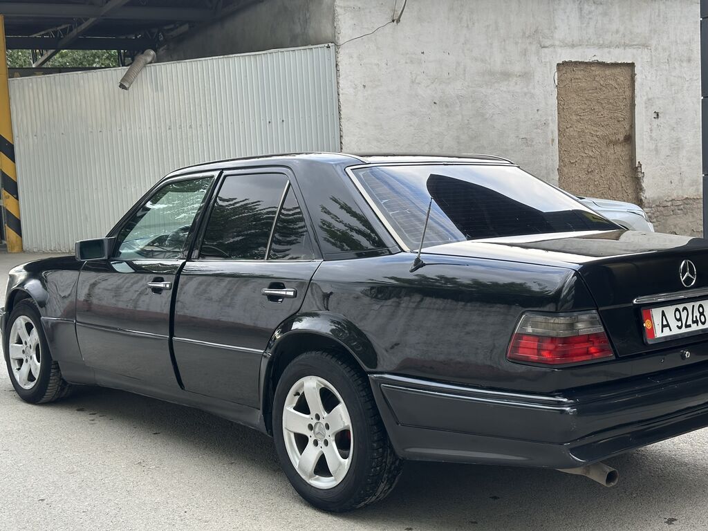 Mercedes-Benz W124: 1995 г., 2.2 л, Автомат, Газ, Седан: фото 6