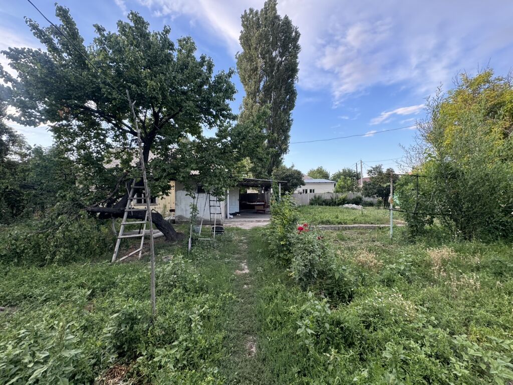 12 соток, Для строительства, Красная книга, Тех паспорт, Договор купли-продажи: фото 3