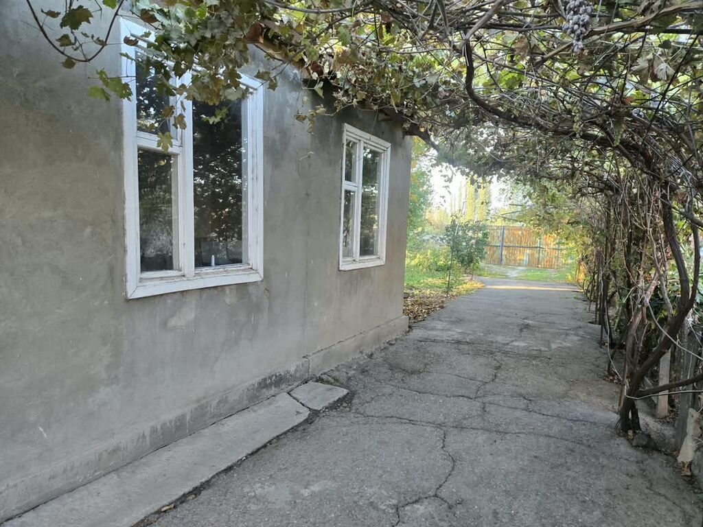 ПРОДАЁТСЯ ДОМ В ЦЕНТРЕ СЕЛА + 2,16 ГА ОРОШАЕМОЙ ЗЕМЛИ! ВСЁ ЗА $70: фото 2