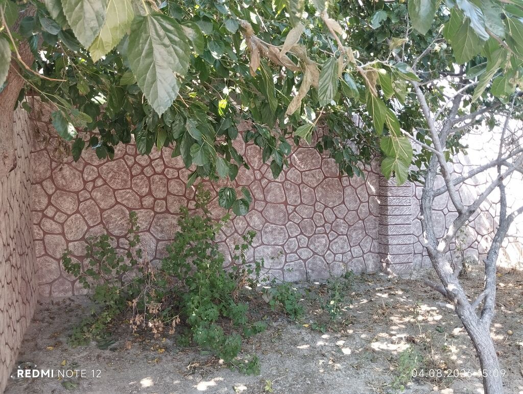 Digah, 85 kv. m, 3 otaqlı, Hovuzsuz, İşıq