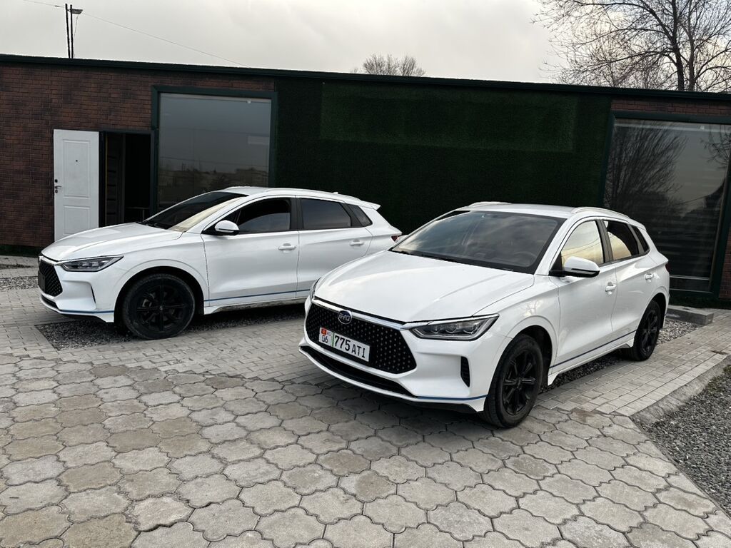 BYD — салон автомобиля (интерьер, комплектация) - Цветовая схема: фото 7