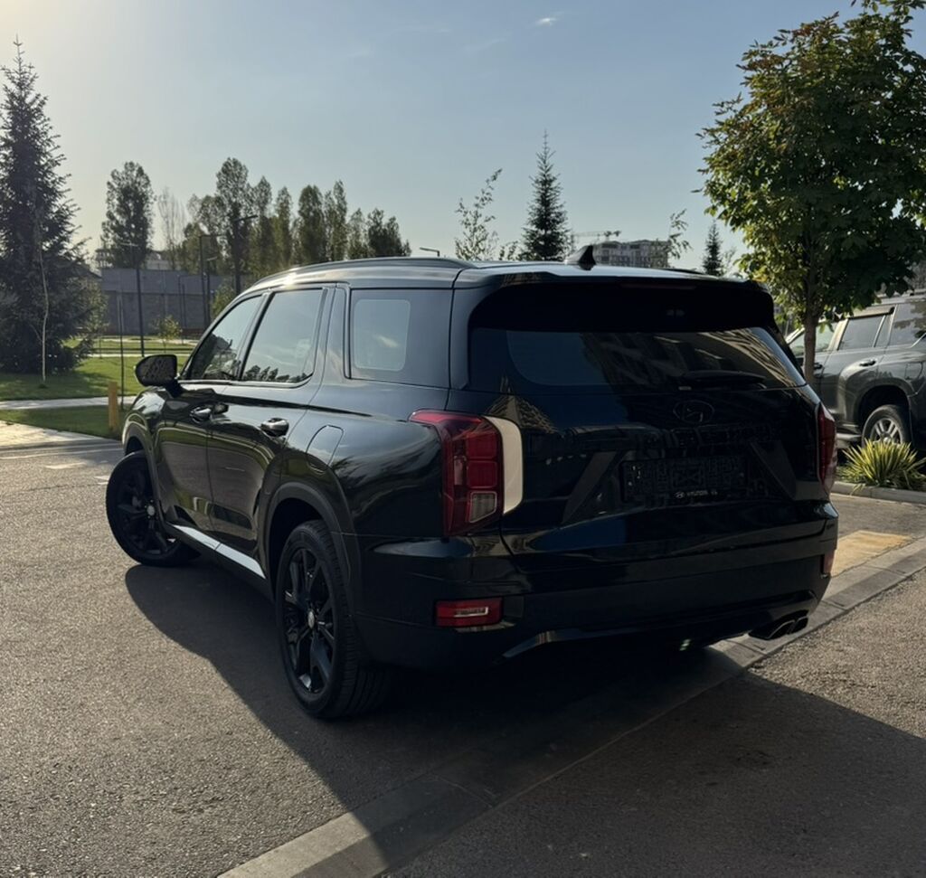 Hyundai Palisade: 2020 г., 2.2 л, Автомат, Дизель, Кроссовер: фото 3