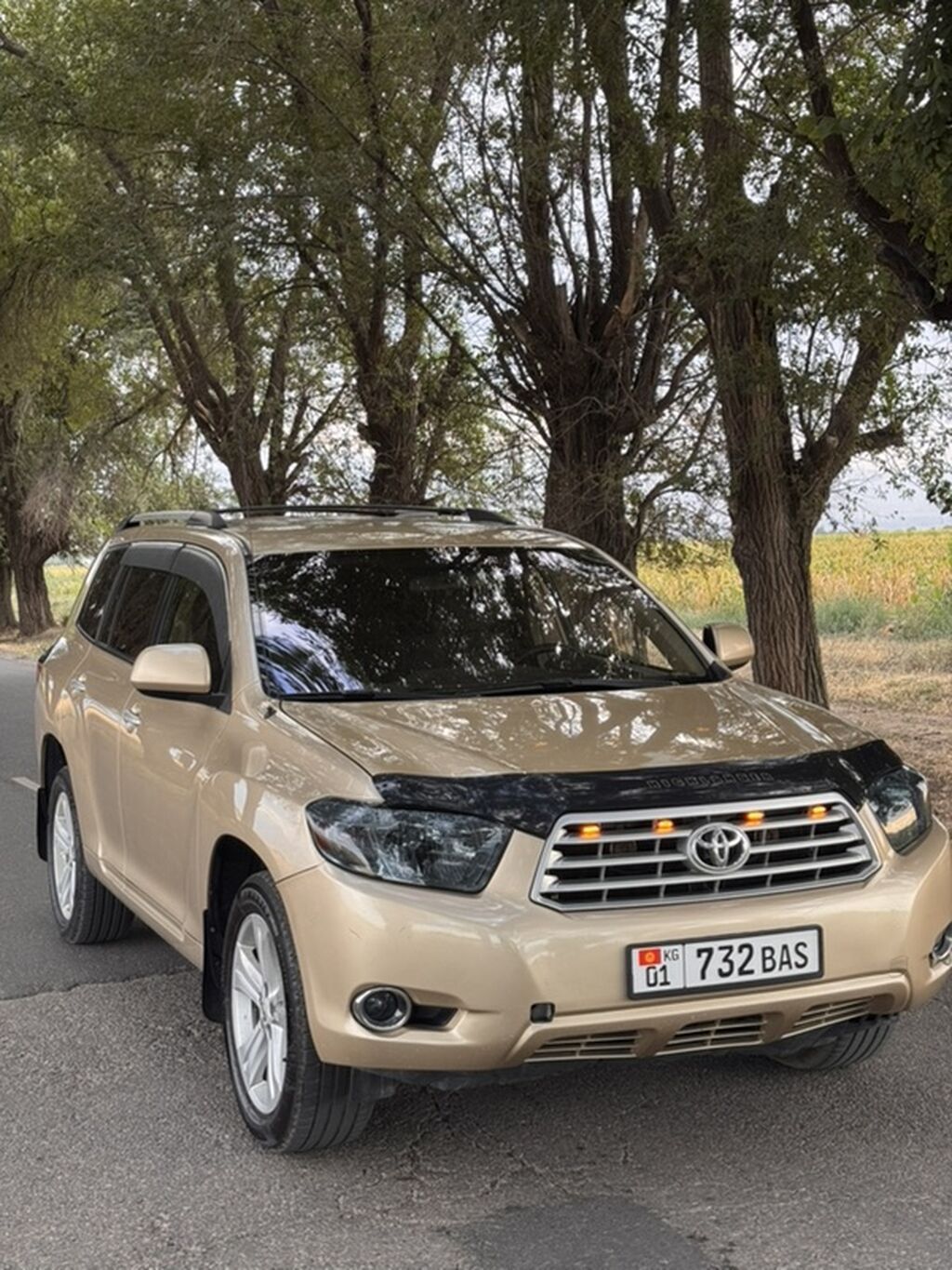 Toyota Highlander: 2008 г., 3.5 л, Автомат, Бензин, Кроссовер: фото 3
