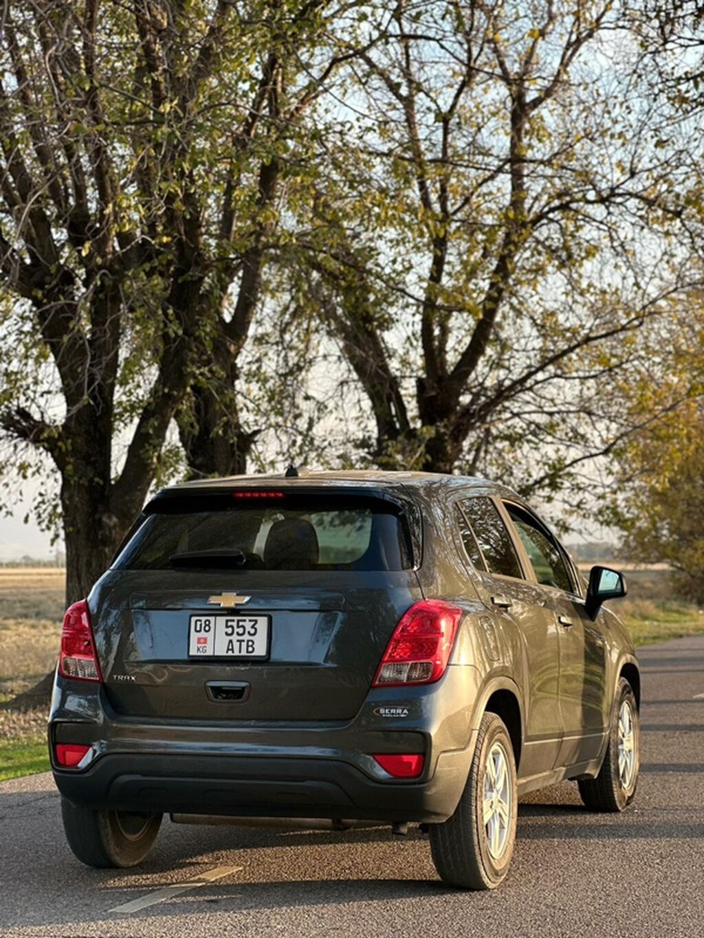 Chevrolet Trax: 2019 г., 1.4 л, Автомат, Бензин, Кроссовер: фото 4