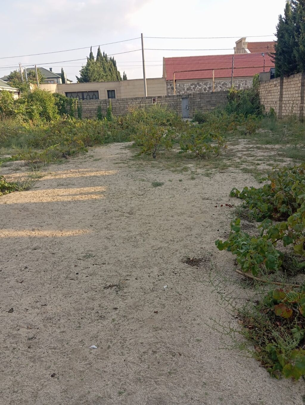 8 sot, Tikinti, Mülkiyyətçi, Kupça (Çıxarış)