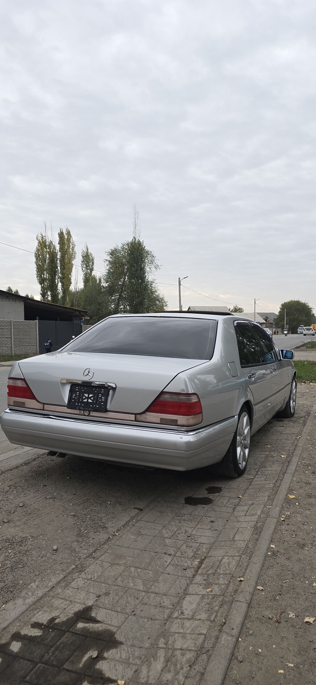 Mercedes-Benz S-Class: 1996 г., 0.5 л, Автомат, Бензин, Седан: фото 5