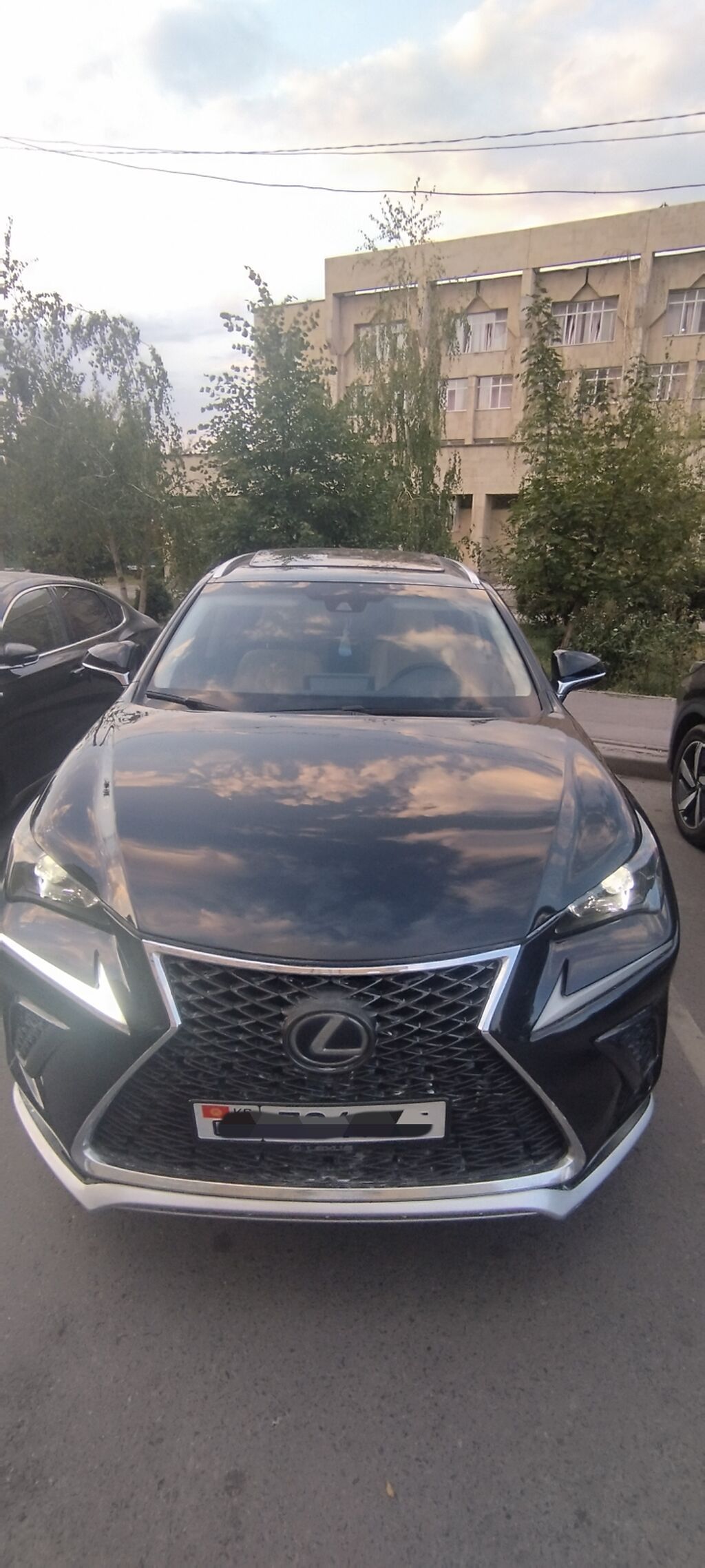 Lexus NX: 2018 г., 2.5 л, Гибрид: фото 1