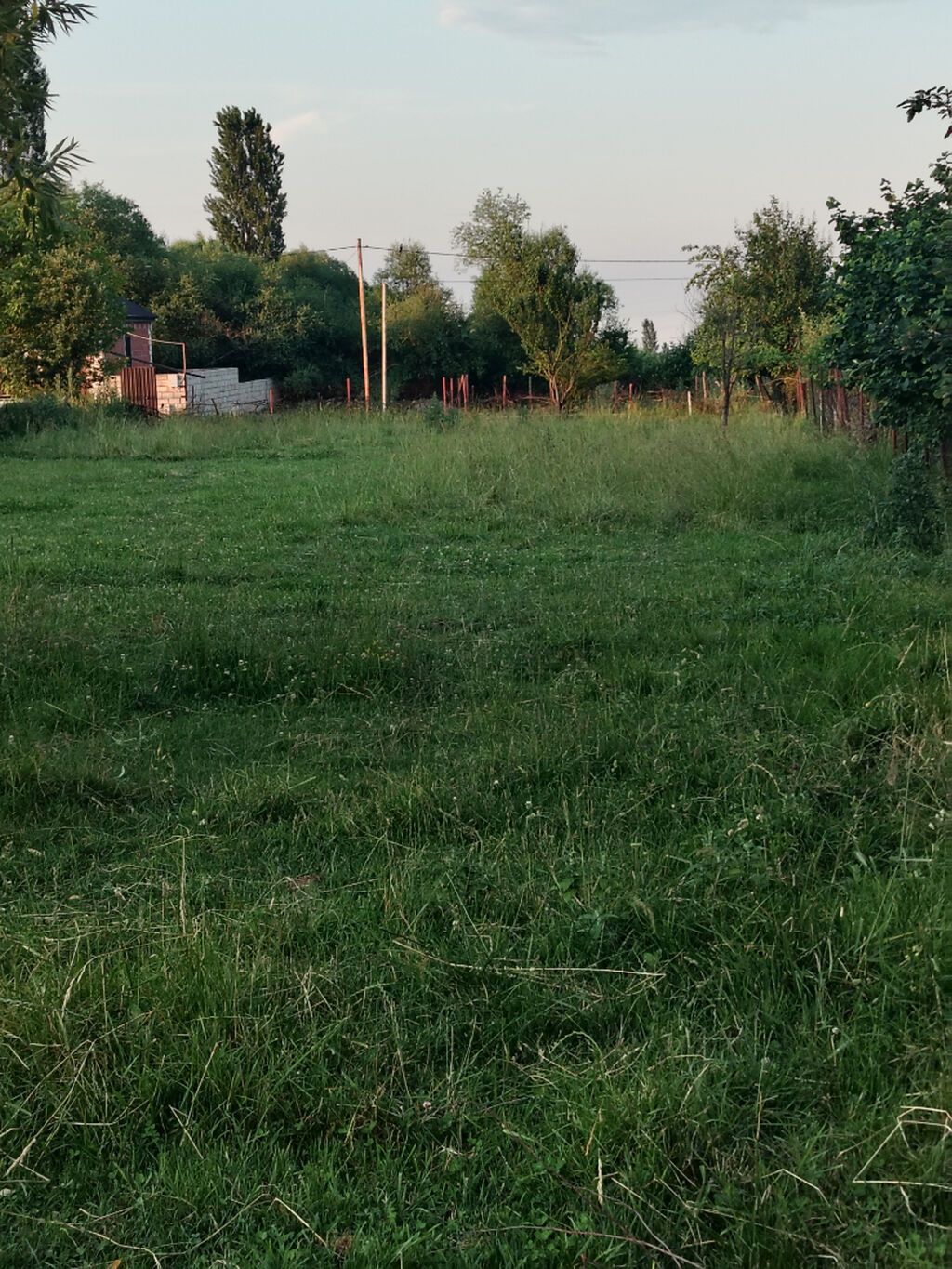 2 sot, Tikinti, Mülkiyyətçi, Kupça (Çıxarış)