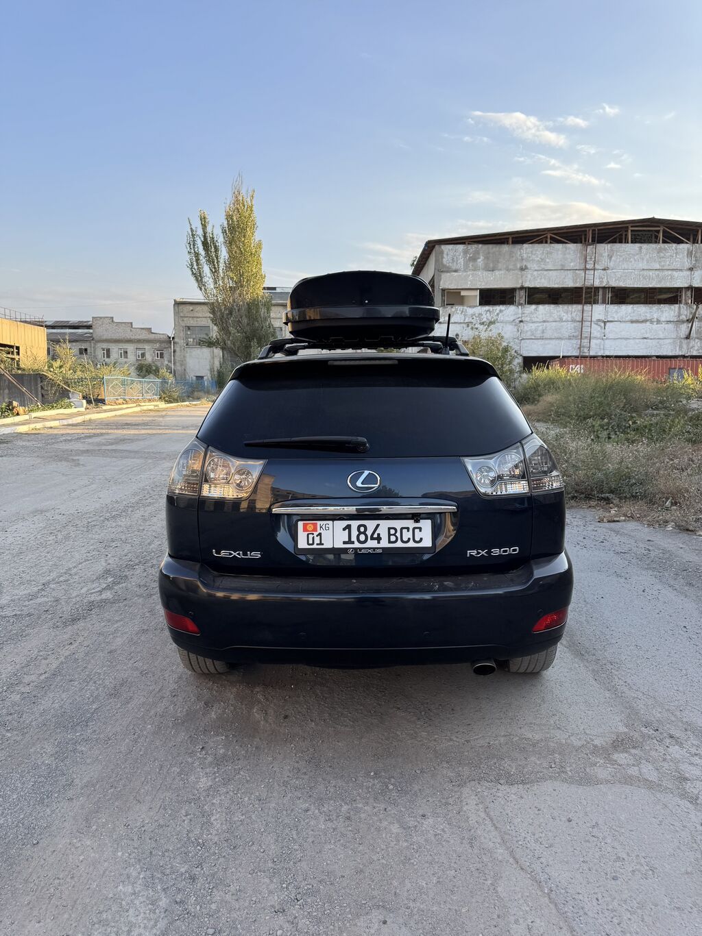 Lexus RX: 2004 г., 3 л, Автомат, Бензин, Кроссовер: фото 5