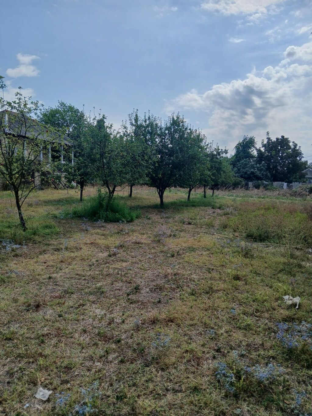 Kənd təsərrüfatı