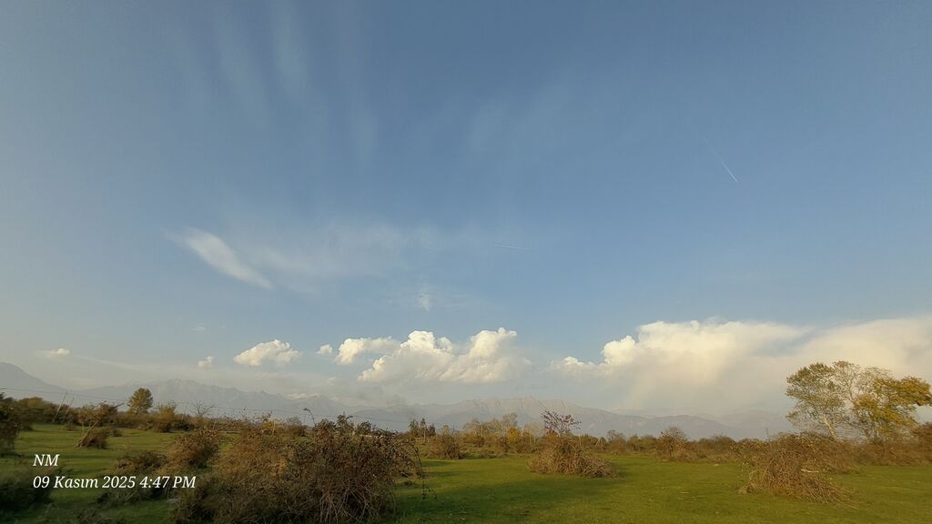 25 sot, Kənd təsərrüfatı, Mülkiyyətçi, Kupça (Çıxarış)