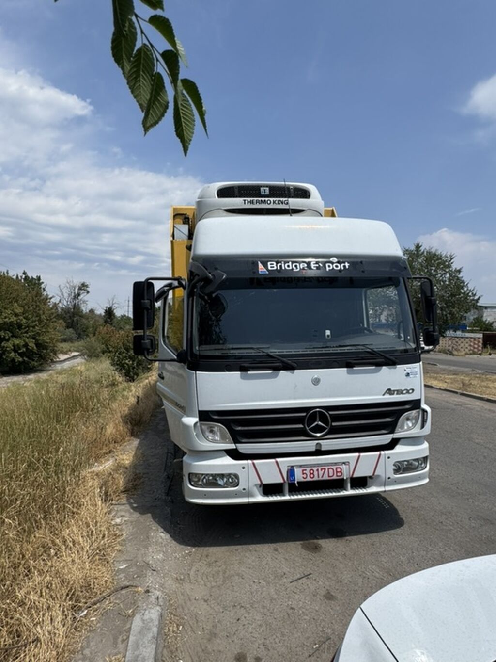 Рефрижераторный грузовик Mercedes-Benz Atego с установкой Thermo King: фото 5