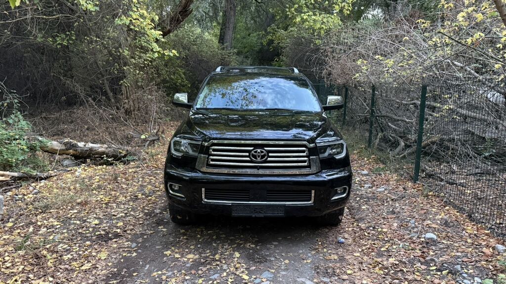 Toyota Sequoia: 2018 г., 5.7 л, Автомат, Газ, Внедорожник: фото 3