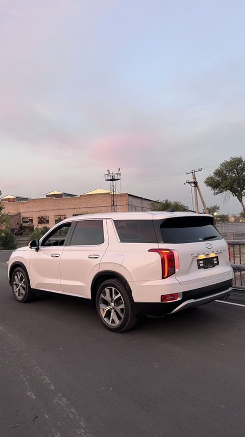Hyundai Palisade: 2020 г., 2.2 л, Автомат, Дизель, Кроссовер: фото 7