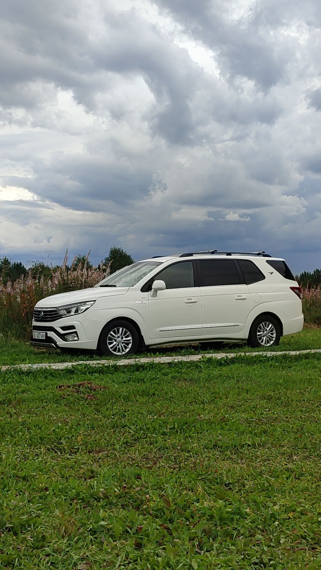 Ssangyong Korando Family: 2019 г., 2.2 л, Автомат, Дизель, Универсал: фото 2