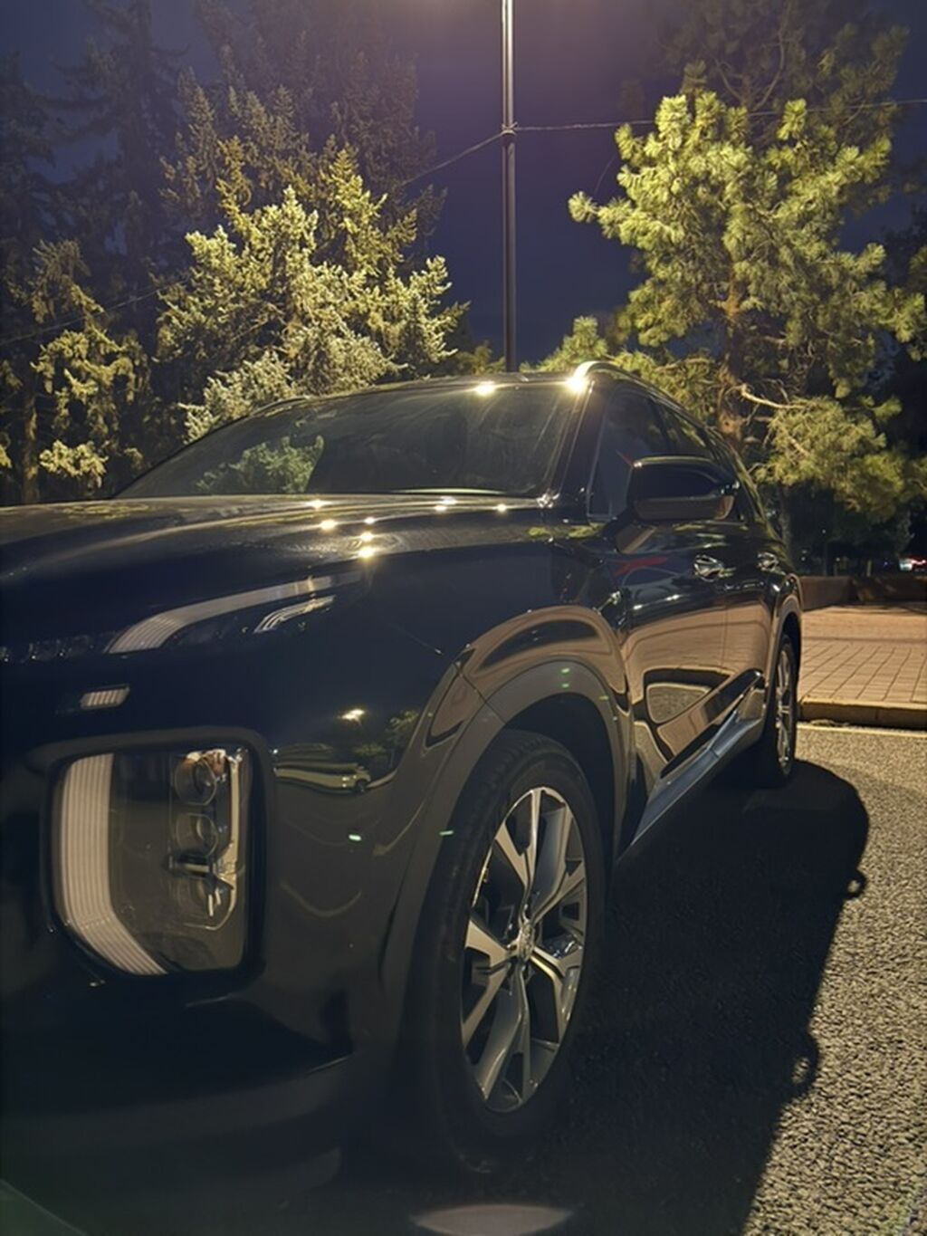 Hyundai Palisade: 2019 г., 2.2 л, Автомат, Дизель, Кроссовер: фото 7