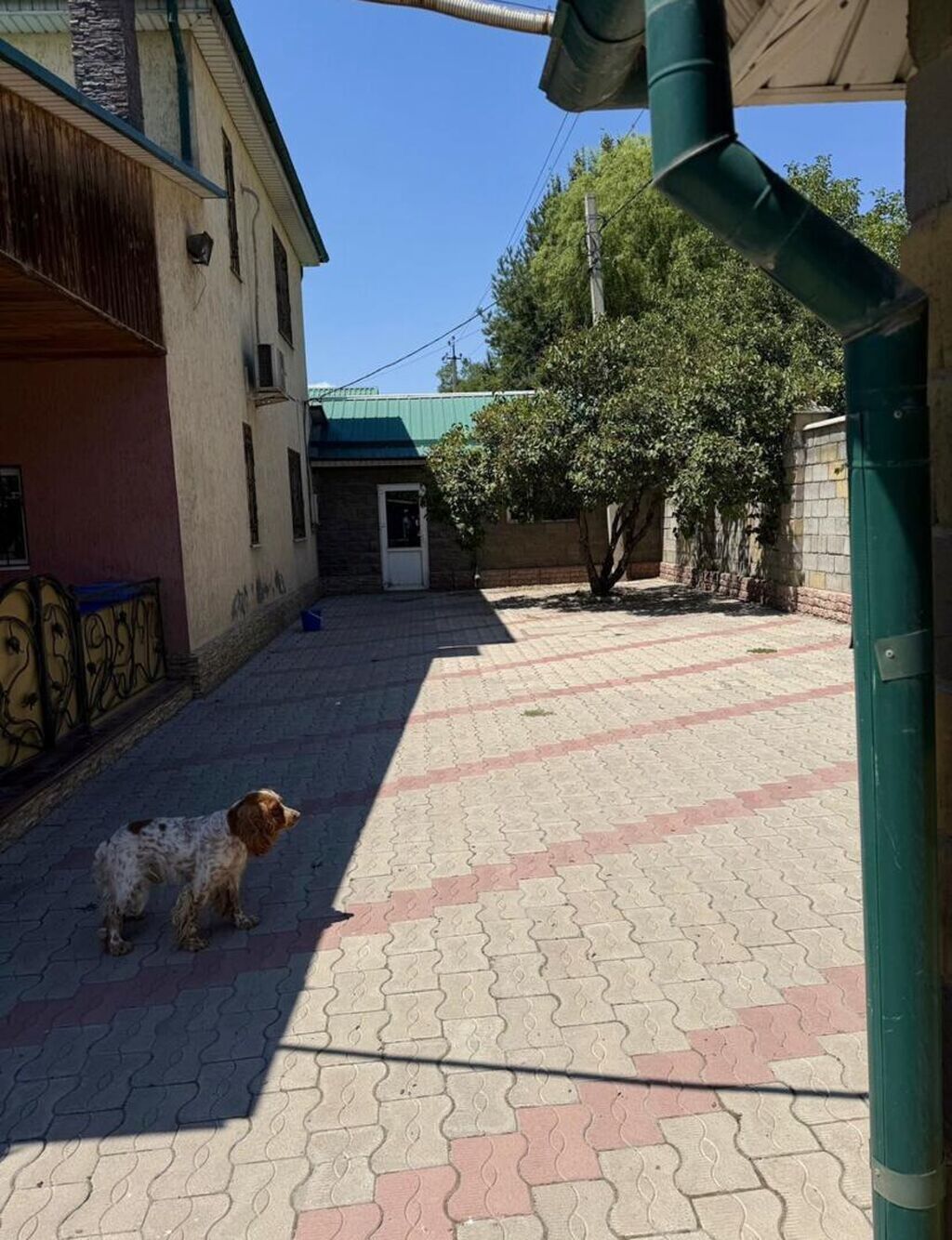 200 м², 5 комнат, Новопавловка с., Семейным: фото 3