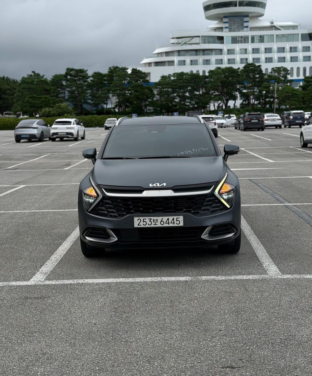 Kia Sportage: 2022 г., 1.6 л, Автомат, Гибрид, Кроссовер: фото 1
