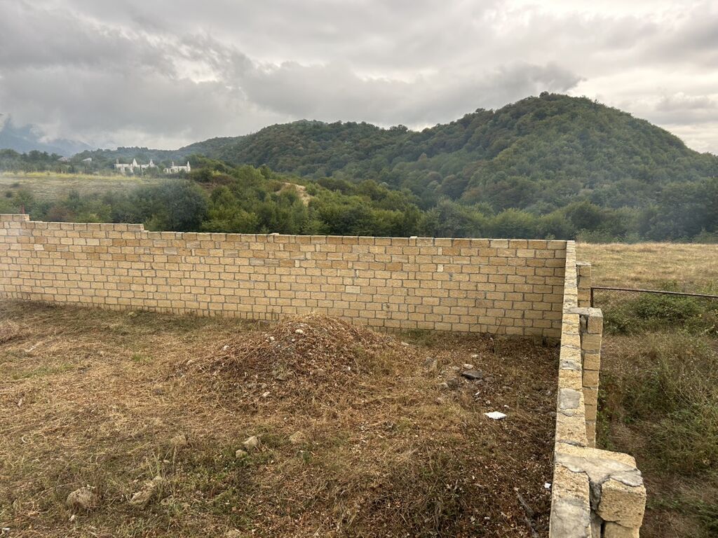 15 sot, Tikinti, Mülkiyyətçi, Kupça (Çıxarış)