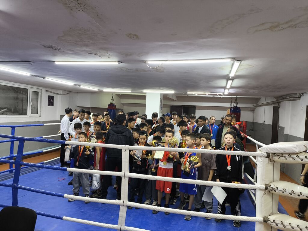 Зал Бокса "FZ Boxing" Бокс Кикбоксинг MMA (персонально) Взрослые: фото 8
