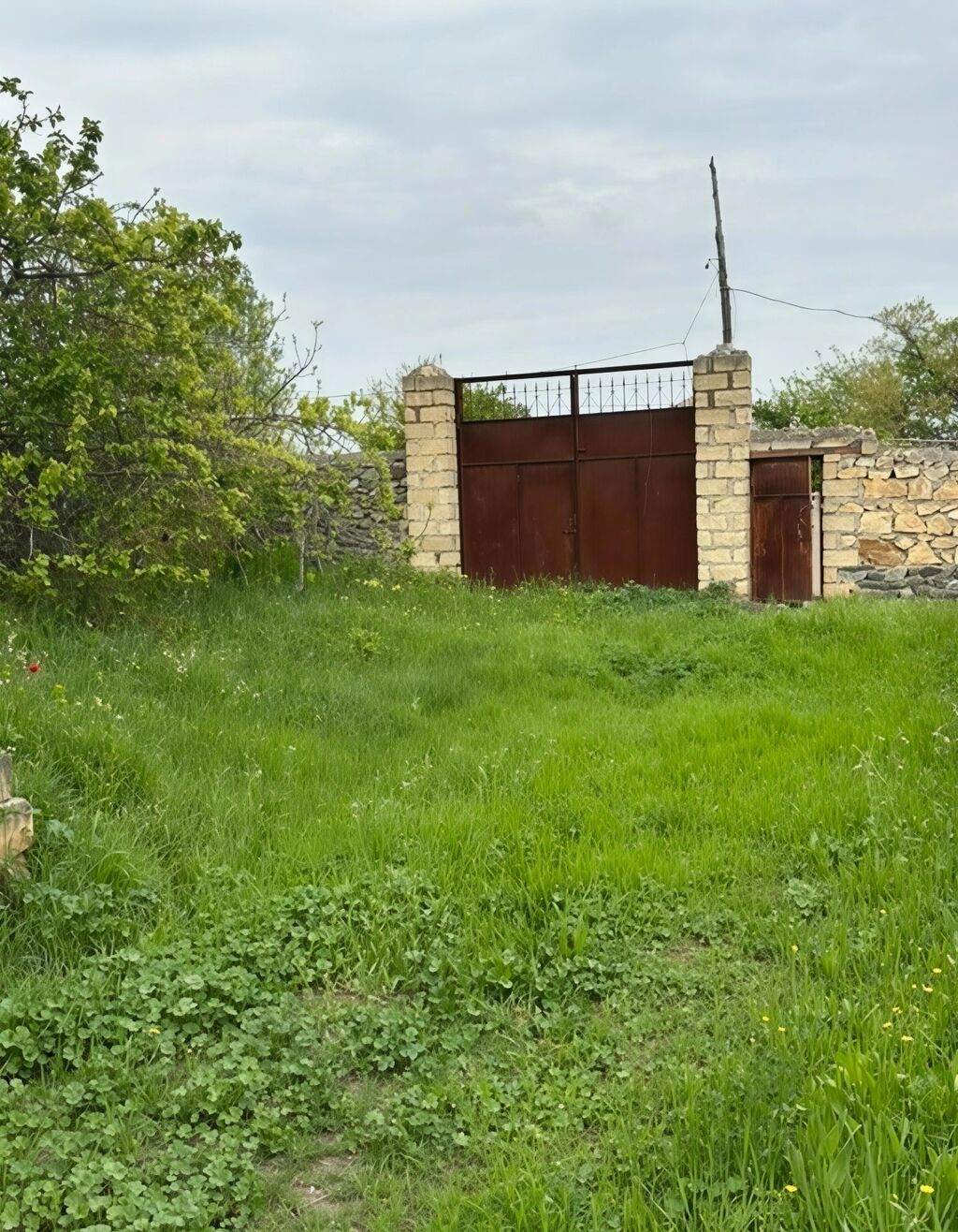 31 sot, Tikinti, Mülkiyyətçi, Kupça (Çıxarış)