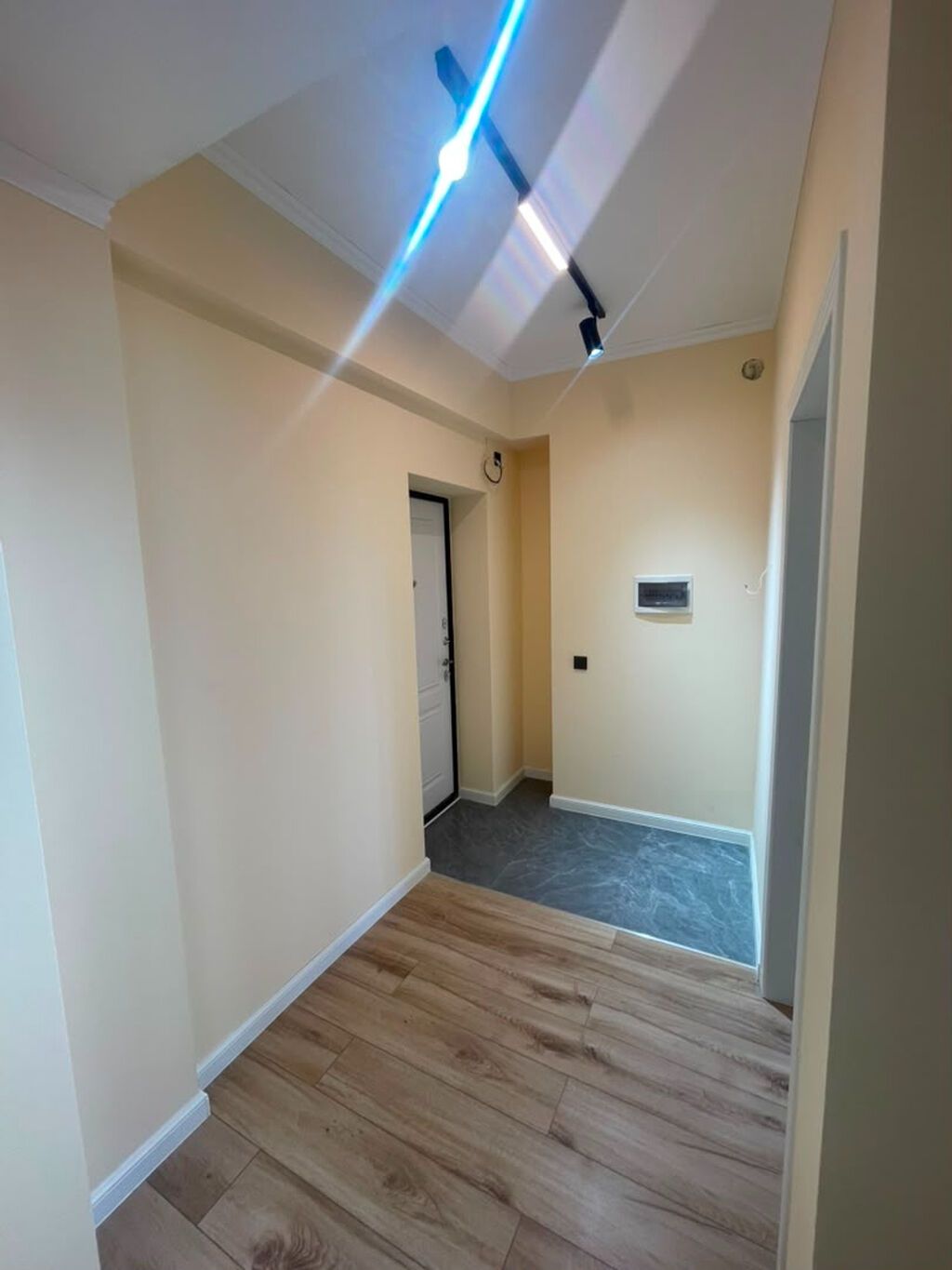 1 комната, 45 м², Ошский рынок / базар Элитка, 10 этаж, Евроремонт: фото 2