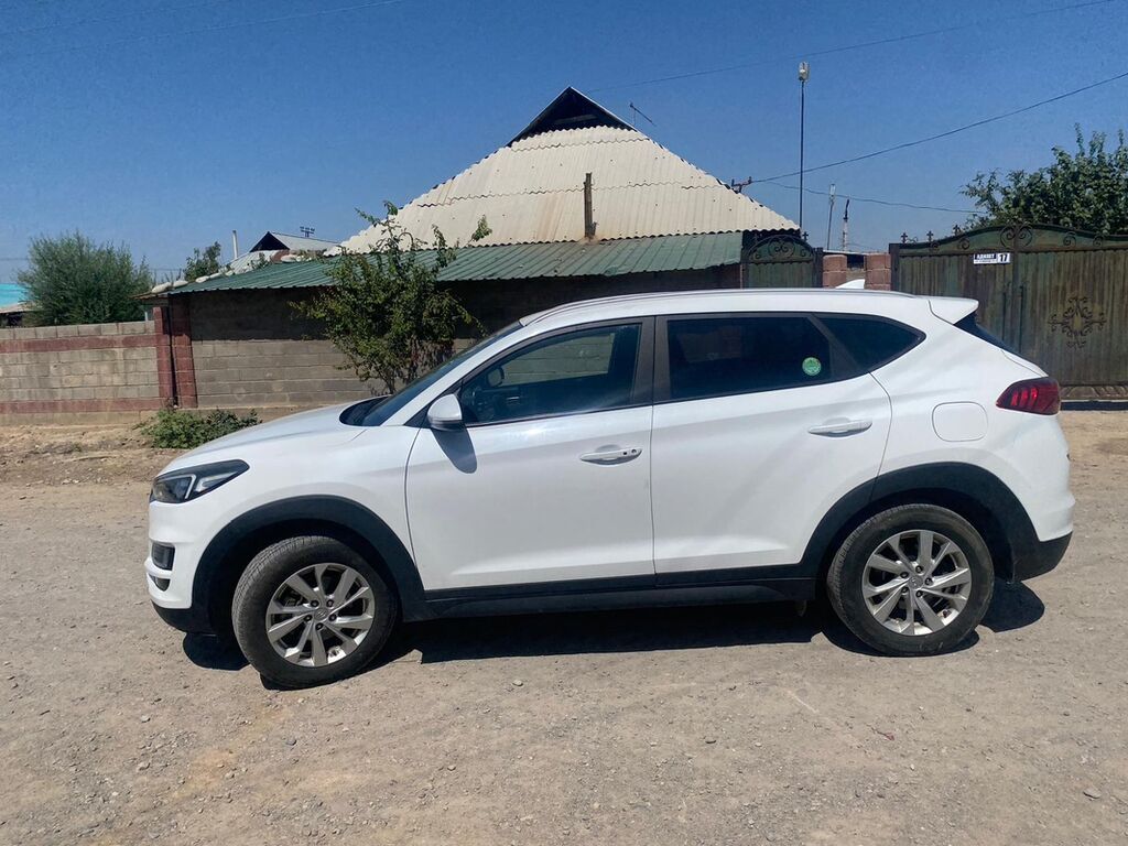 Hyundai Tucson: 2019 г., 1.6 л, Автомат, Дизель, Кроссовер: фото 2