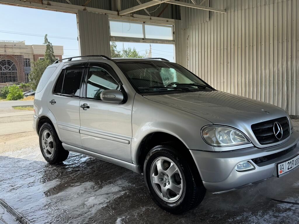 Mercedes-Benz M-Class: 2003 г., 2.7 л, Автомат, Дизель, Универсал: фото 8