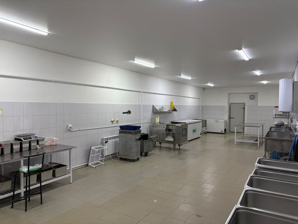 Цех, С оборудованием, Действующий, 650 м²