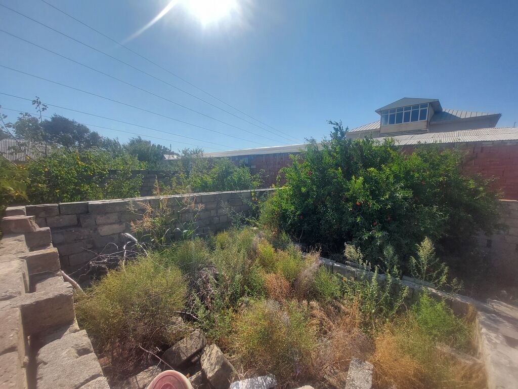 Tikinti