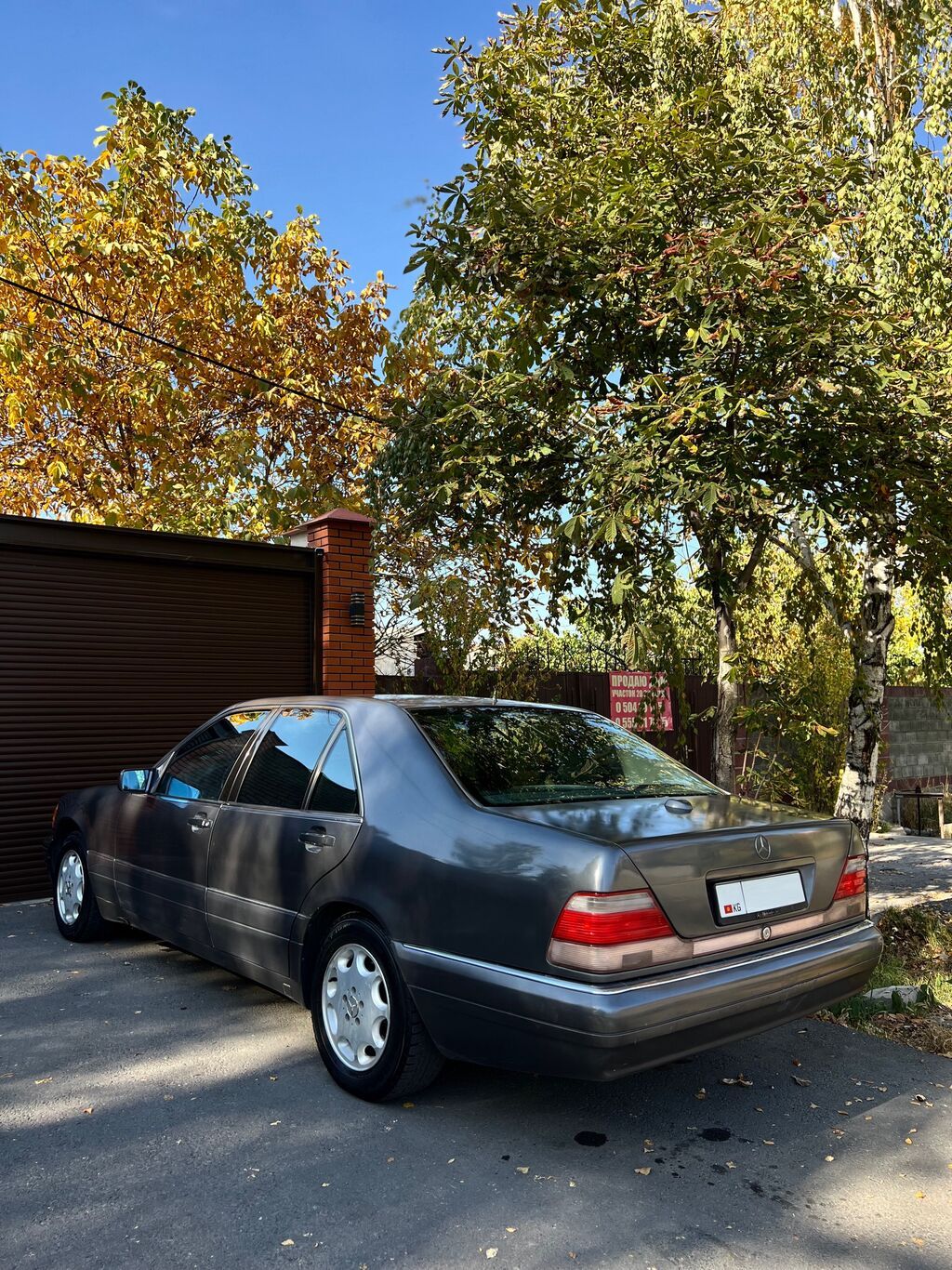 Mercedes-Benz S-Class: 1995 г., 5 л, Автомат, Бензин, Седан: фото 3