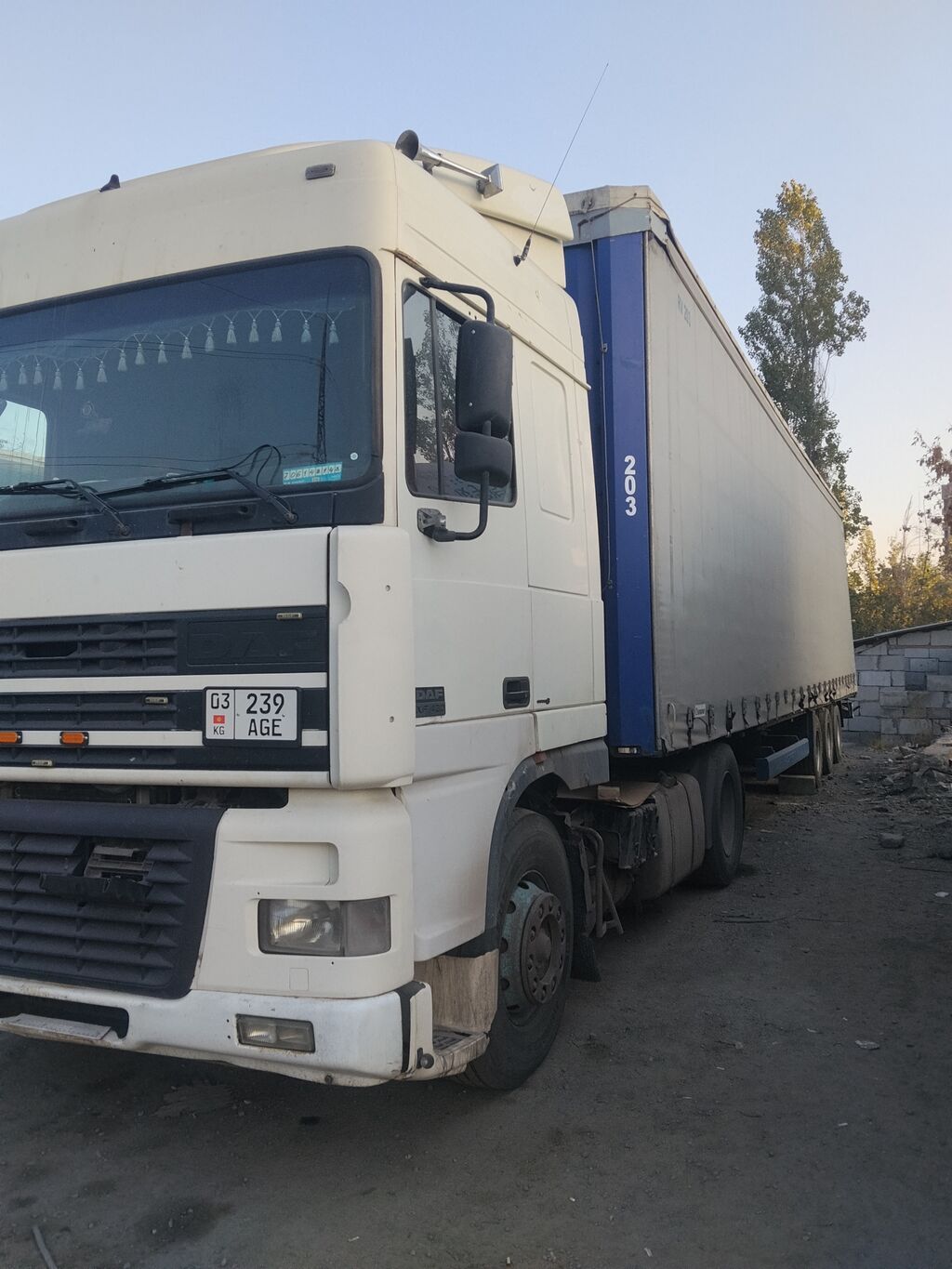 Тягач, DAF, Шторный: фото 3
