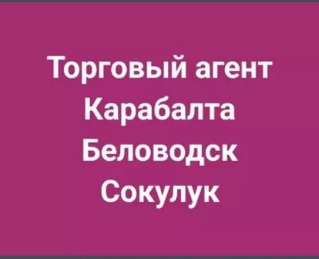 Требуется торговый представитель с авто на: 90000 KGS ᐈ Торговые агенты |  Бишкек | 65049791 ➤ lalafo.kg