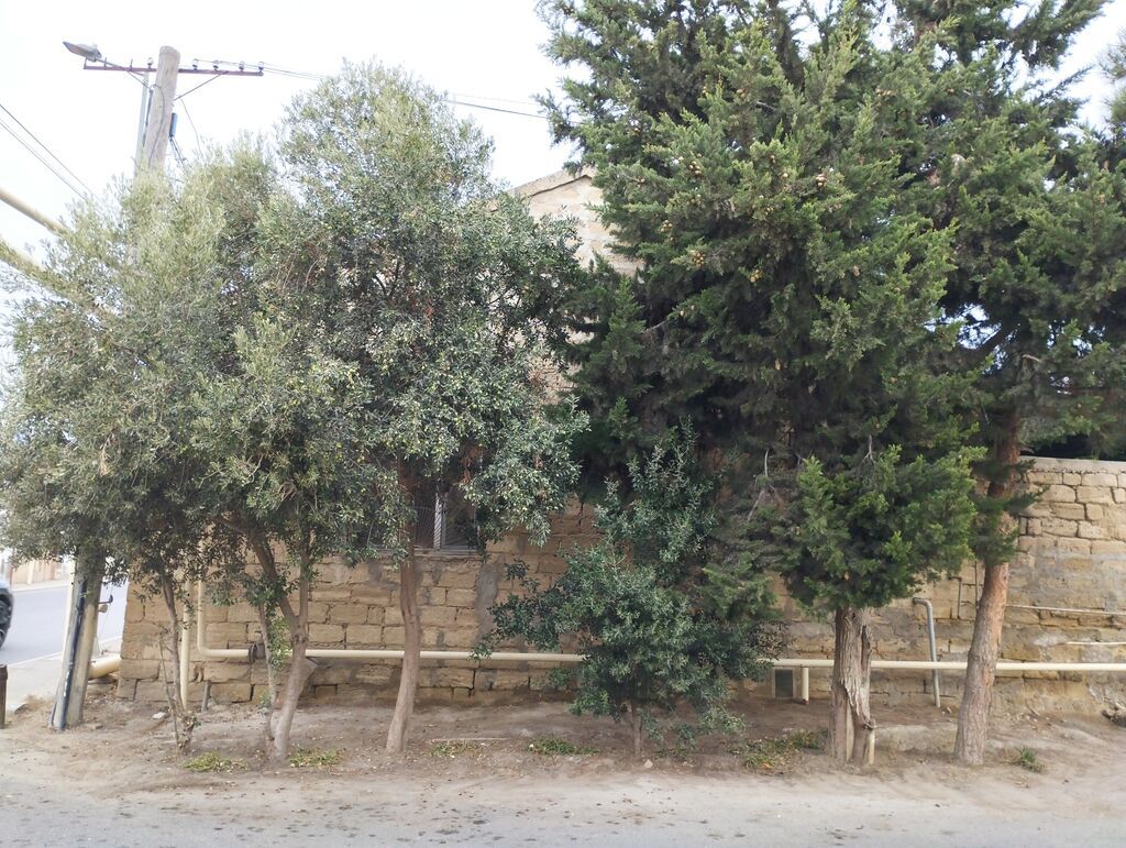Mərdəkanda 3 otaqlı həyət evi satılır, 110 m², 400 000 AZN, şəkil 2 / 12