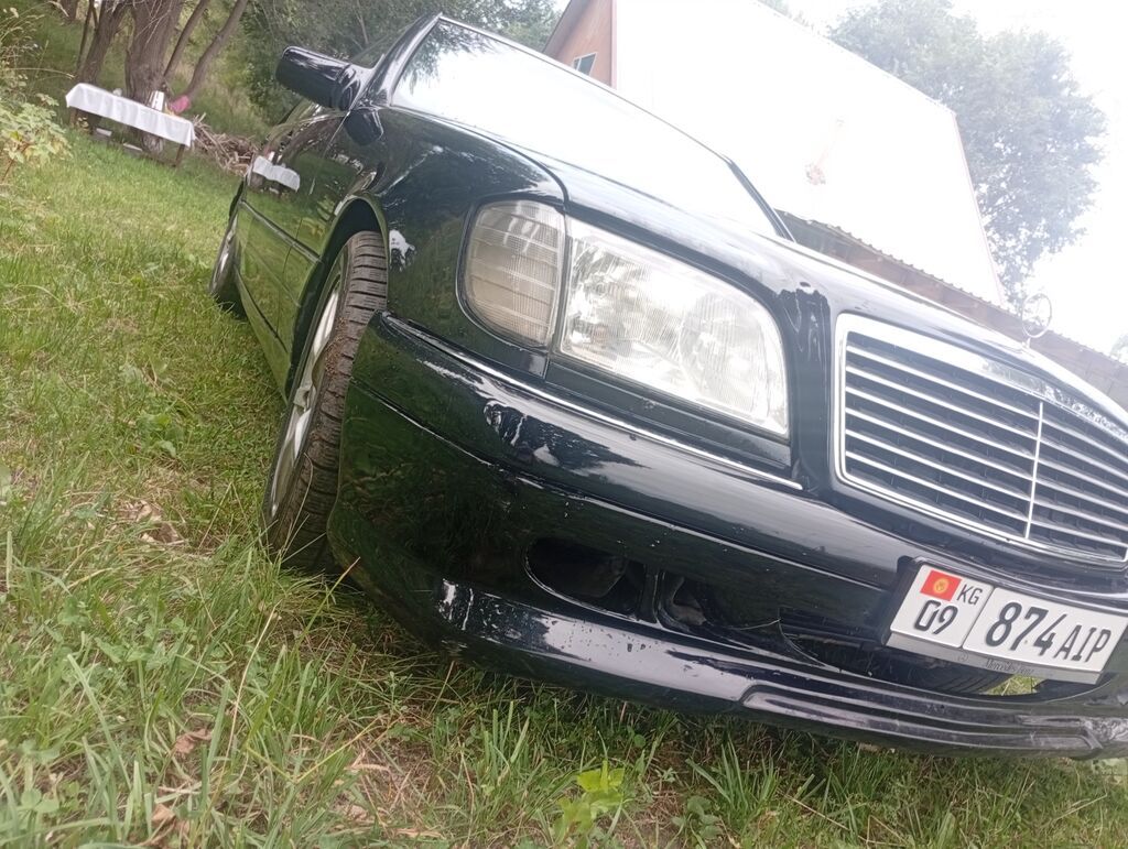 Mercedes-Benz S-Class: 1995 г., 5 л, Автомат, Газ, Седан: фото 6