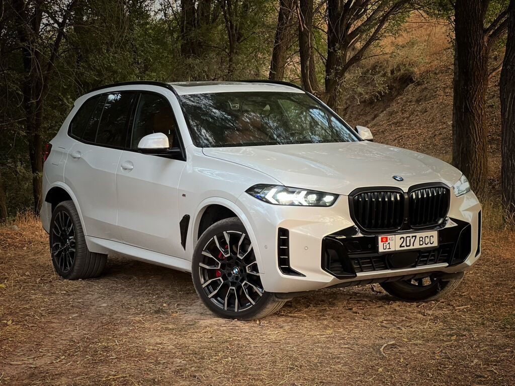 BMW X5: 2023 г., 3 л, Автомат, Бензин, Внедорожник: фото 2