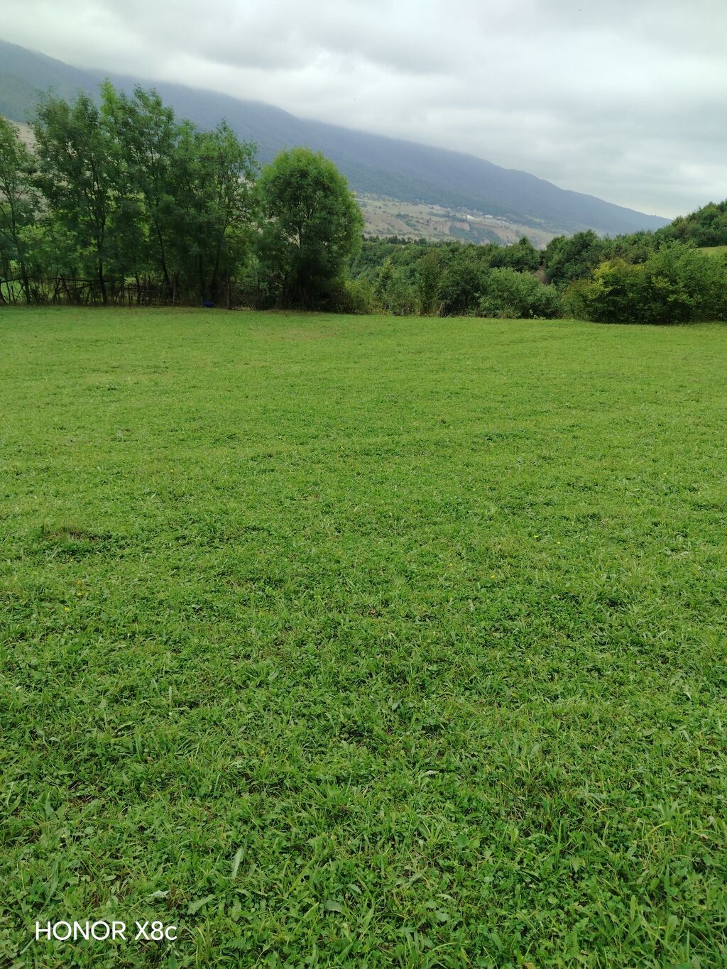 21 sot, Tikinti, Mülkiyyətçi, Kupça (Çıxarış)