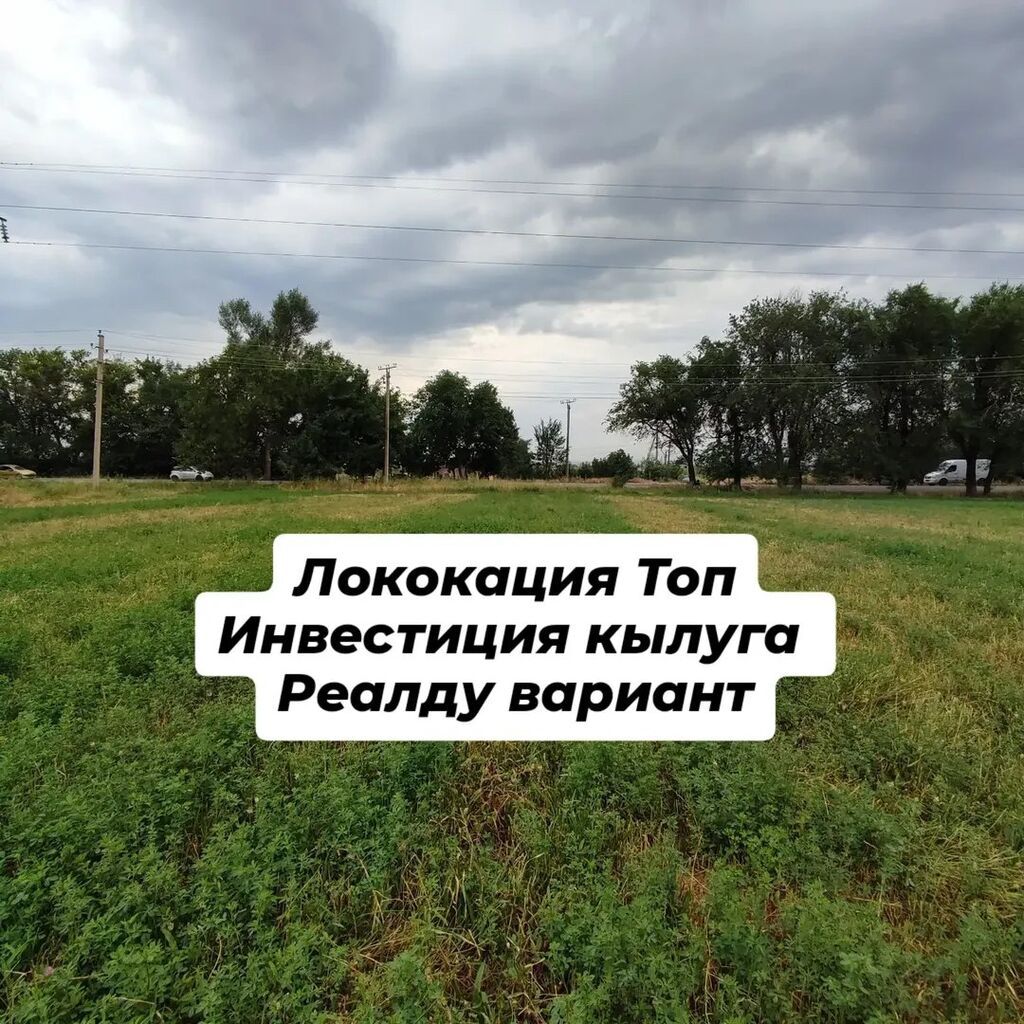 280 соток, Для бизнеса, Договор купли-продажи, Договор дарения: фото 1