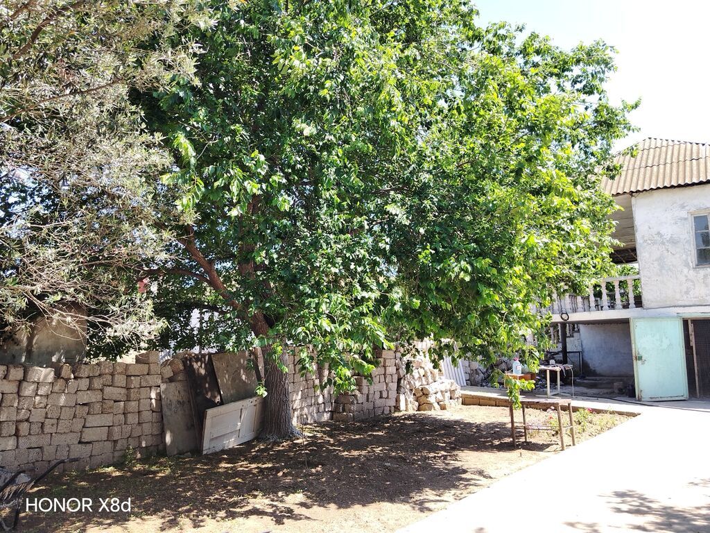 3 otaqlı, 5 kv. m