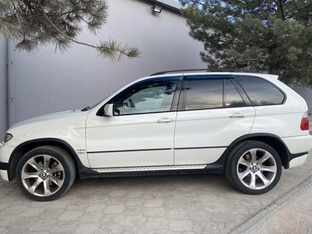 BMW X5: 2005 г., 4.8 л, Кроссовер: фото 3