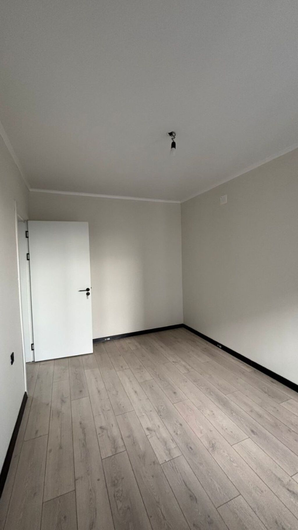 1 комната, 55 м², Пишпек Элитка, 11 этаж, Евроремонт: фото 3