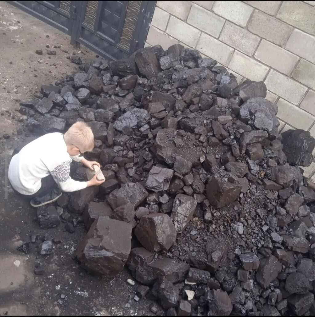 Уголь Шабыркуль с доставкой по Бишкеку уголь марки Шабыркуль -: фото 3