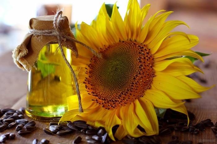 Qida və keyterinq: GÜNƏBAXAN YAĞI SOYUQ SIXIM
1 LİTR 6 AZN
2 LITRI 10 AZN - lalafo.az Bakı şəhərində GÜNƏBAXAN YAĞI SOYUQ SIXIM
1 LİTR 6 AZN
2 LITRI 10 AZN