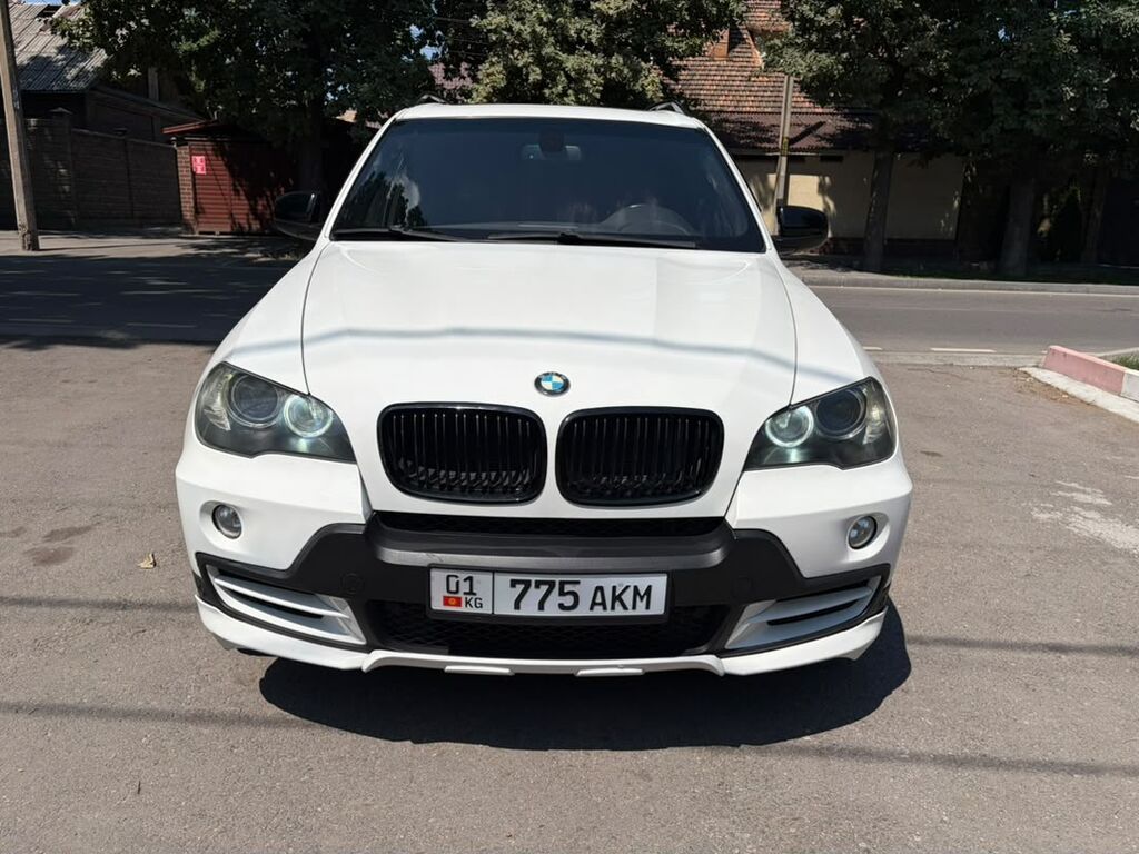 BMW X5: 2009 г., 3 л, Автомат, Бензин, Кроссовер — фото 2