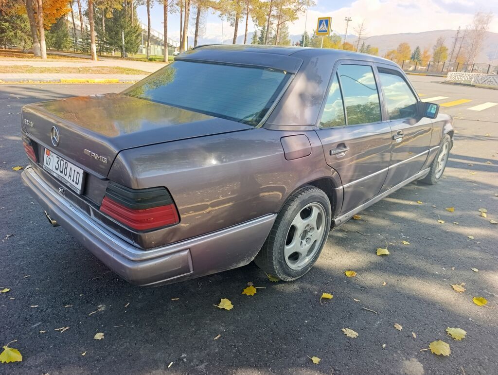 Mercedes-Benz W124: 1993 г., 3.2 л, Автомат, Бензин, Седан: фото 4