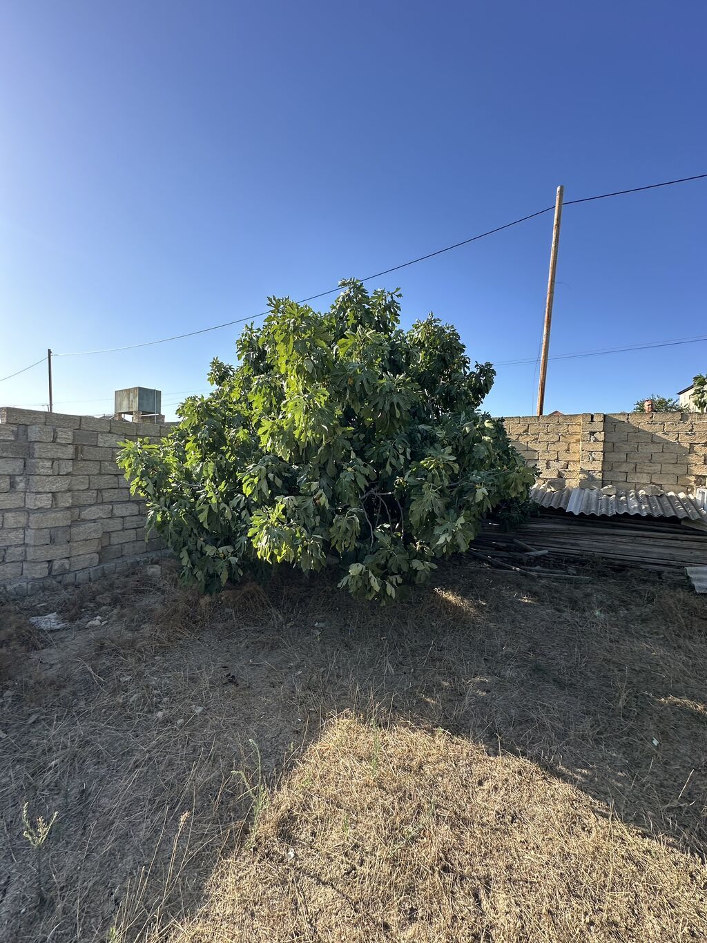 4 sot, Tikinti, Maklerlər narahat etməsin, Kupça (Çıxarış)