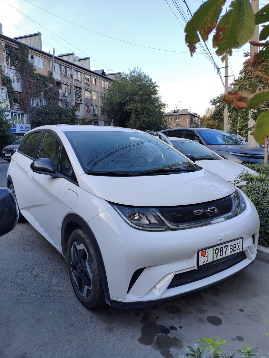 BYD Dolphin: 2022 г., Робот, Электромобиль, Хэтчбэк: фото 2