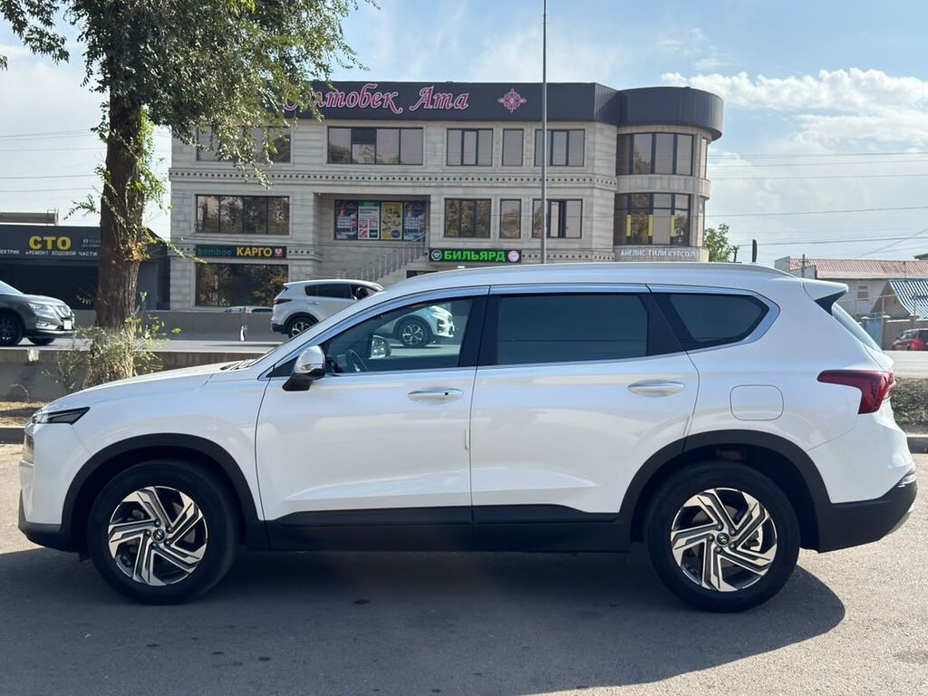 Hyundai Santa Fe: 2020 г., 2.2 л, Робот, Дизель, Внедорожник: фото 8
