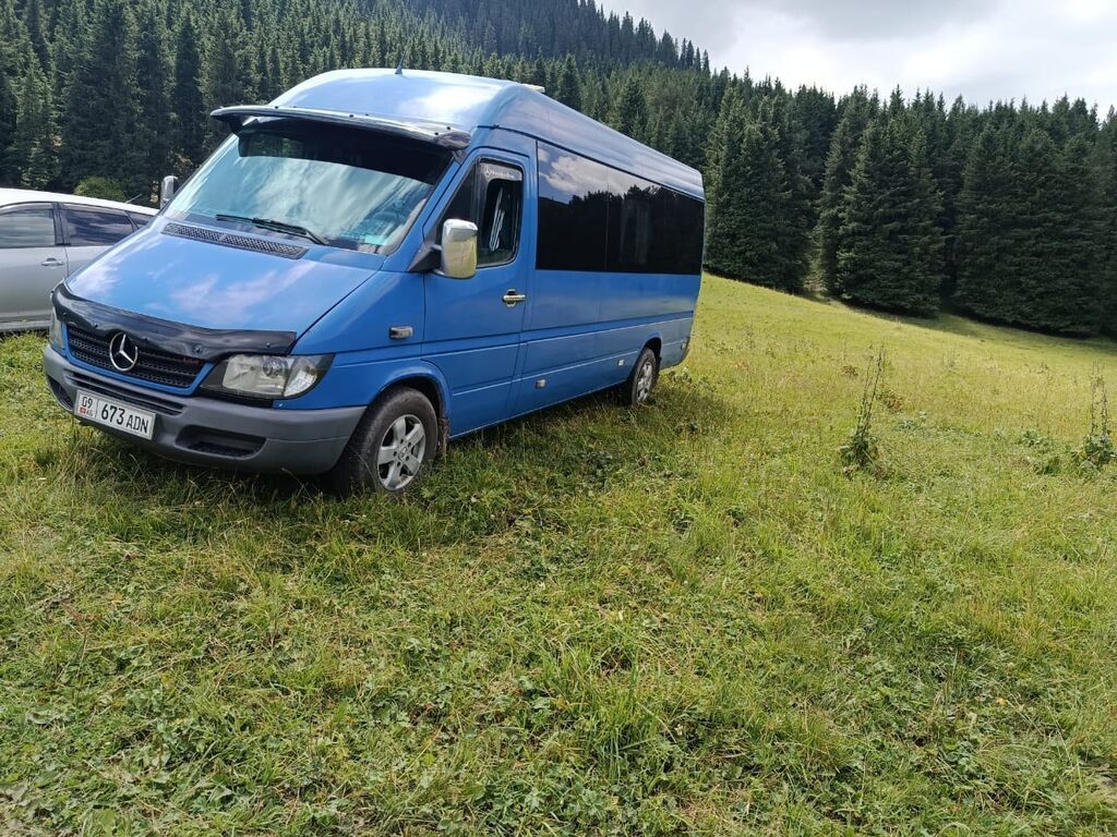 Mercedes-Benz Спринтер: 2002 г., 2.7 л, Механика, Дизель, Бус: фото 3