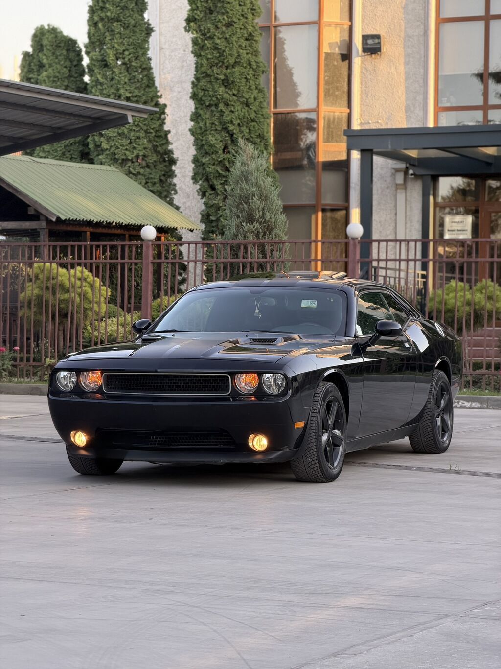 Dodge Challenger: 2013 г., 3.6 л, Автомат, Бензин, Купе: фото 1